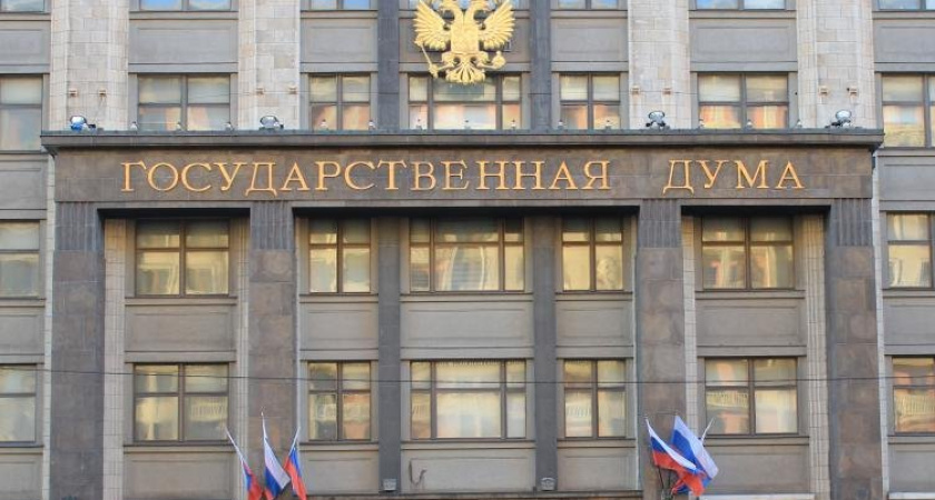 Воронежский депутат не сумел убедить Госдуму в отмене посадок за репосты 