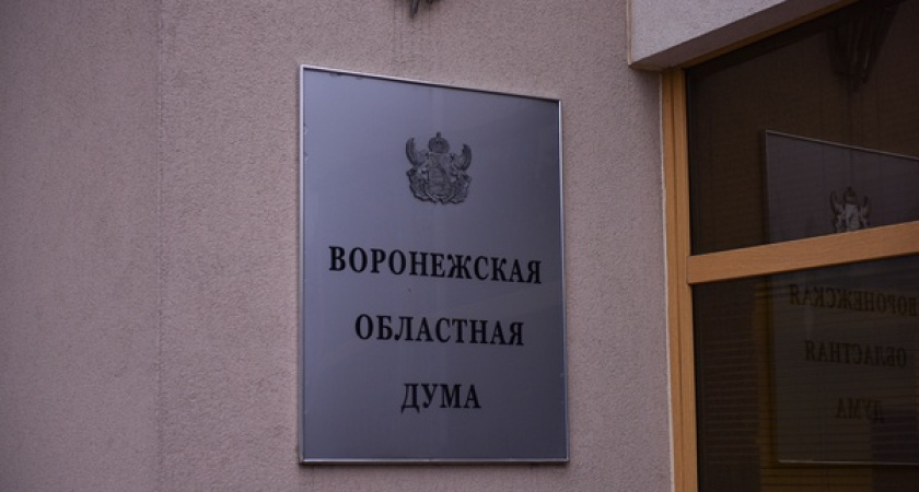 Дефицит бюджета Воронежской области сократился на 300 млн рублей