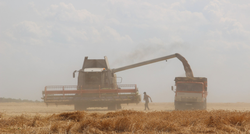 Воронежская область за полгода экспортировала сельхозтовары на 302 млн долларов