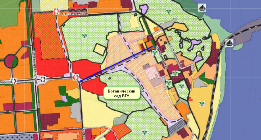Дорогу вдоль воронежского ботанического сада спроектирует «Центр-Дорсервис»