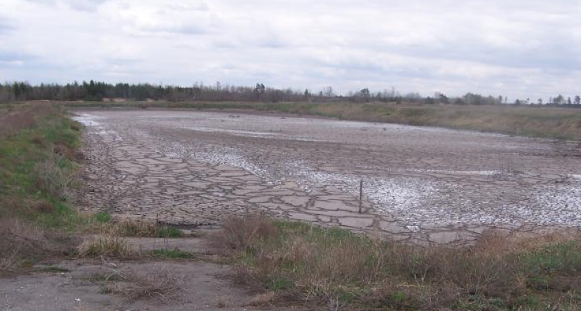 «РВК-Воронеж» задумался о рекультивации иловых карт в Тенистом
