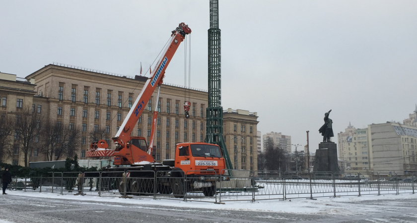 Власти Воронежа расторгли договор на установку главной новогодней елки