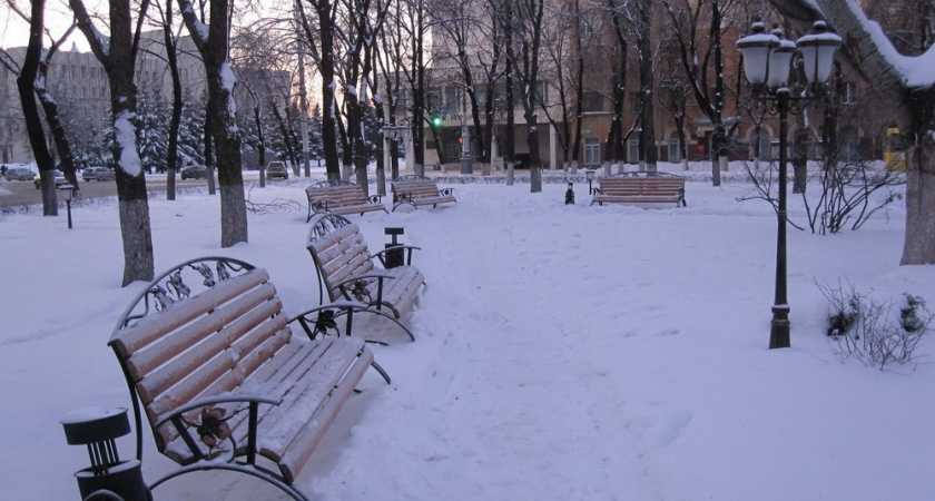 Содержание зелени в сквере у воронежского облправительства оценили в 2,7 млн рублей