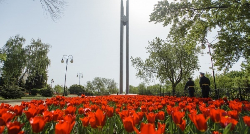 Воронежские власти нашли проектировщика для реконструкции площади Победы за 5,2 млн рублей 