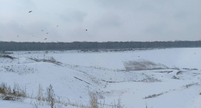 Мусорный полигон «Каскад» под Воронежем готовит к запуску вторую очередь