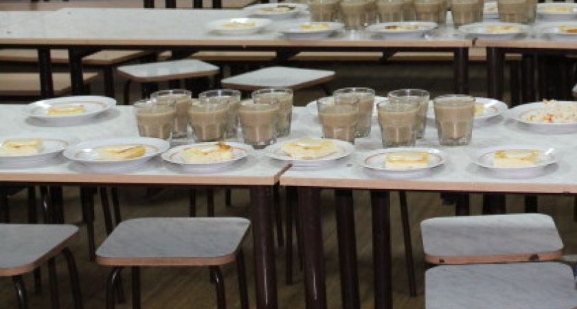 Поставщик школьного питания обвинил мэрию Воронежа в ограничении конкуренции на торгах