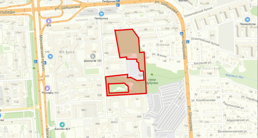 В Воронеже создадут Университетскую дубраву