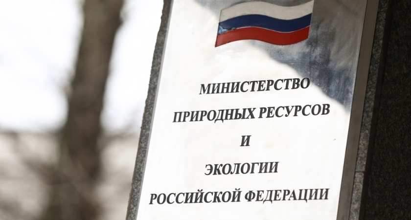 Бывший депутат воронежской облдумы может возглавить федеральную структуру 