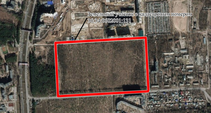 Участок воронежских яблоневых садов застроят социальными объектами