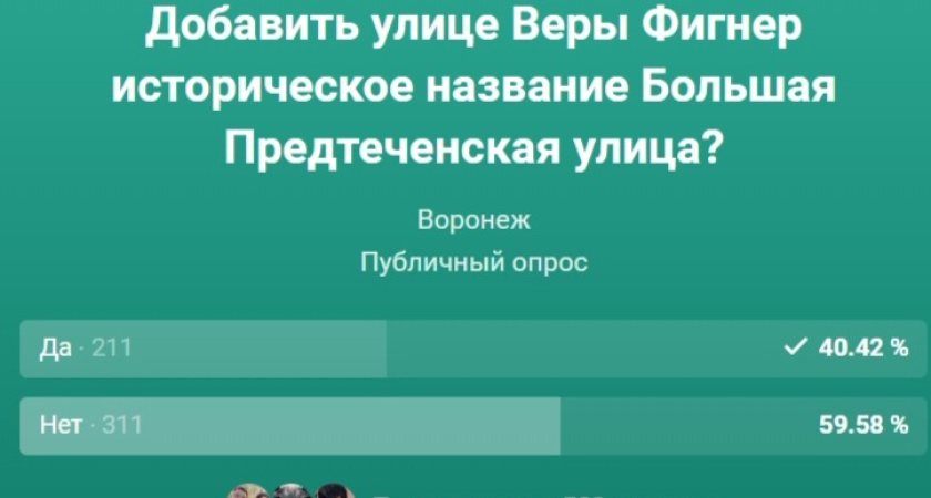 Иногородние участники скомпрометировали голосование за названия воронежских улиц