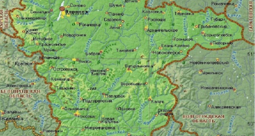 Воронежскую область включили в состав Центрально-Черноземного макрорегиона