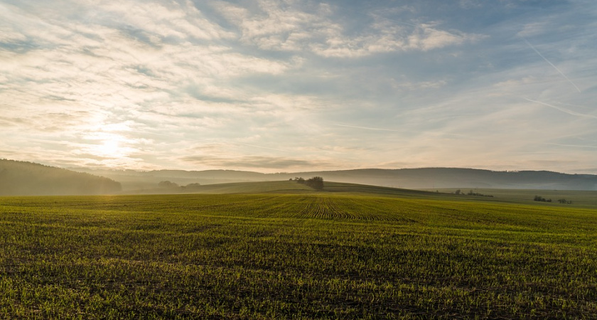 Залоговый фонд Воронежской области вырос до 7,7 млрд рублей