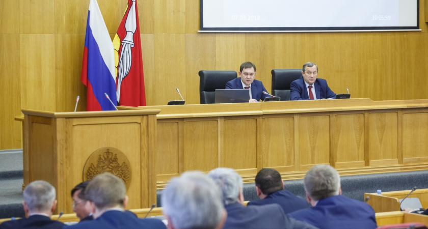 Воронежская облдума поддержала поправки в закон о социальной помощи пенсионерам 