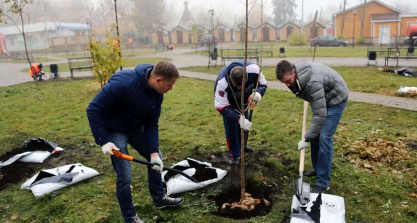 Природоохранные мероприятия в Воронеже в 2018 году обошлись почти в 165 млн рублей