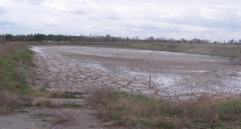 Управление экологии займется проектом обводнения заброшенных иловых карт в Воронеже