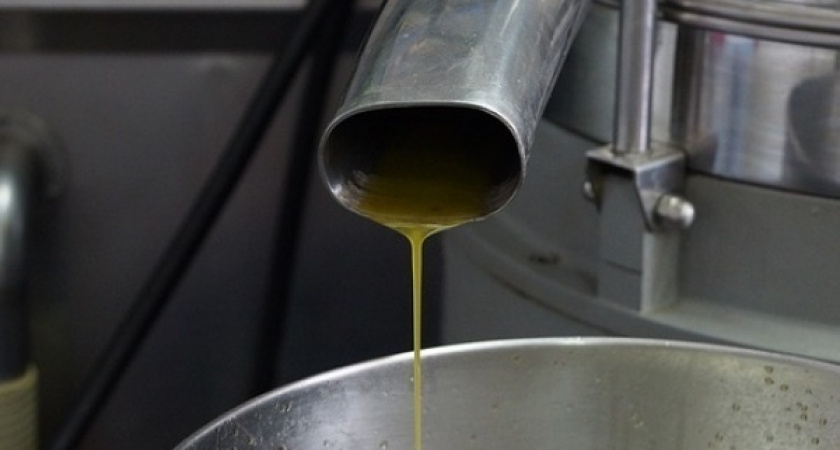 ГК «Благо» удвоит мощности воронежского маслозавода-банкрота «Эртильский»