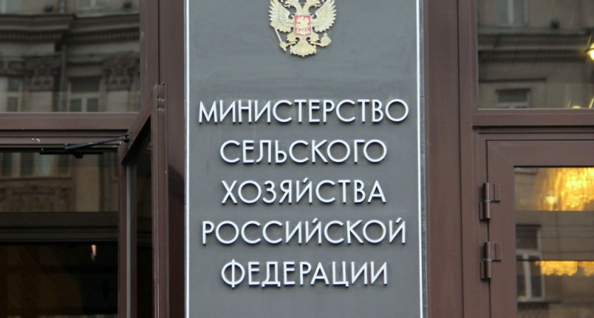 Минсельхоз одобрил 9,4 млрд рублей краткосрочных кредитов воронежским аграриям