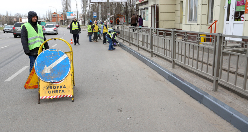 В Воронеже перестанут красить бордюры и деревья