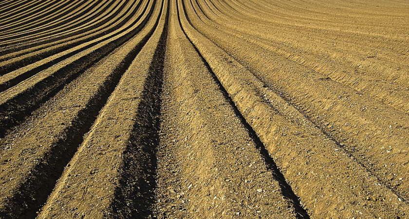 В воронежский центр дистрибуции минудобрений структура «Фосагро» вложит 115 млн рублей