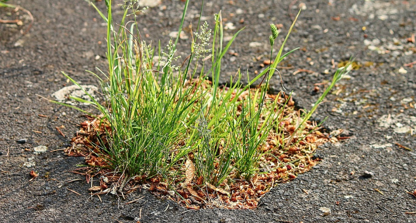 В Воронежской области провалились торги на строительство дорог за 175 млн рублей