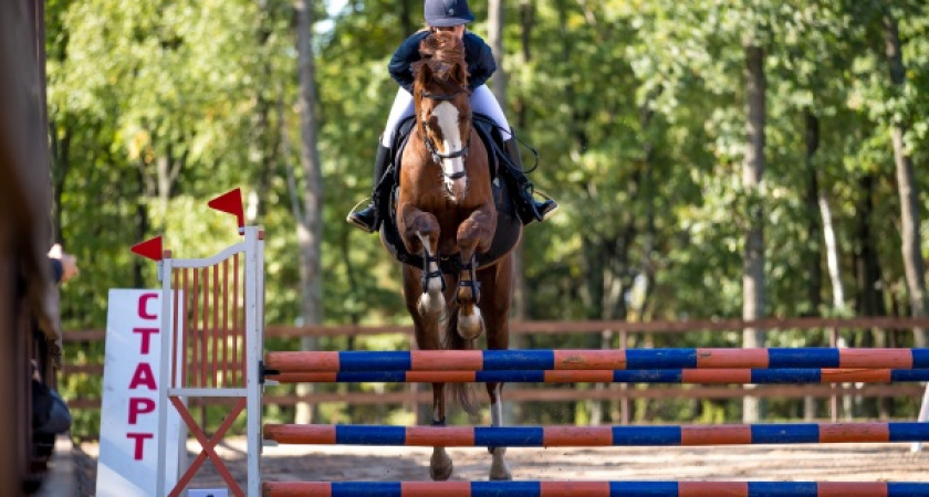 Развлекательные комплексы Воронежа посоревновались за звание визитной карточки города