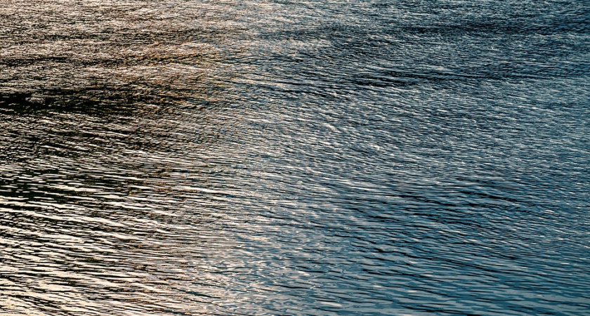 Прокуратура вернула в госсобственность участок на берегу реки Воронеж