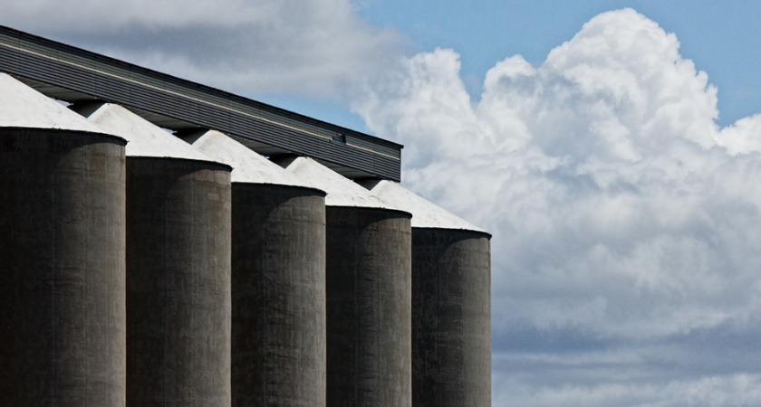 Полный мешок: хватит ли места урожаю – 2019 в хранилищах Воронежской области?