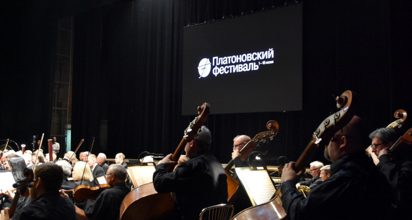 Продажа билетов принесла воронежскому Платоновфесту 33 млн рублей