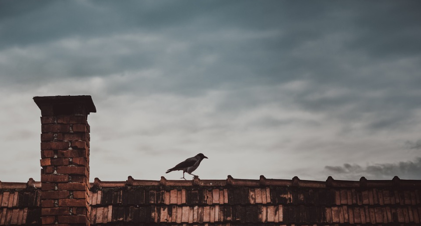 УК Ленинского района пообещала помочь жильцам воронежской многоэтажки приблизить капремонт