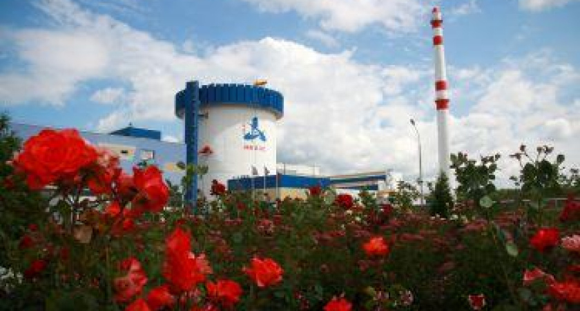 Пятый энергоблок Нововоронежской АЭС остановлен на ремонт