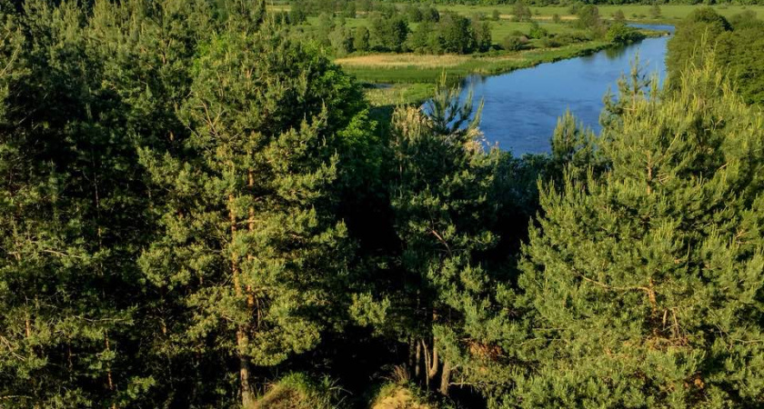 Новым исполнительным директором Совета муниципальных образований Воронежской области стал Сергей Волков