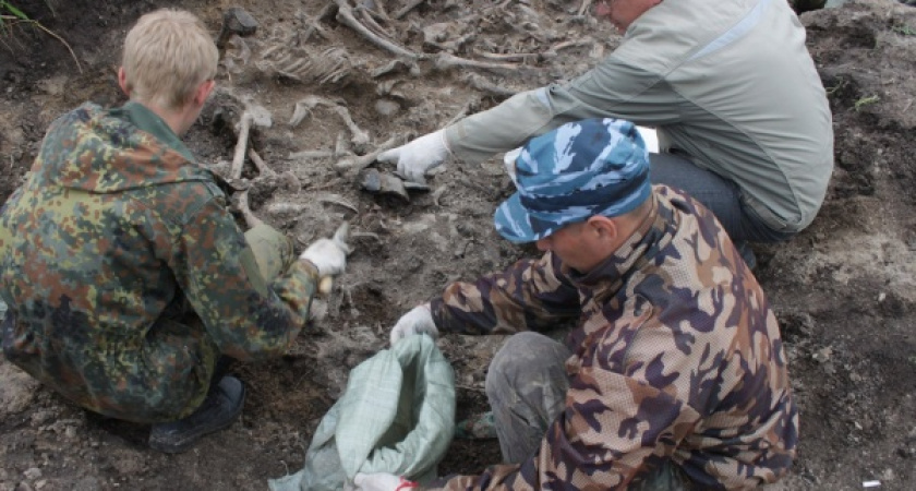 Главу крупнейшей в Воронеже поисковой организации оштрафовали на 200 тыс. рублей