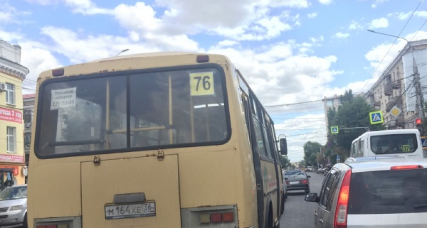 Воронежцы и власти разошлись в оценке опроса о росте стоимости общественного транспорта