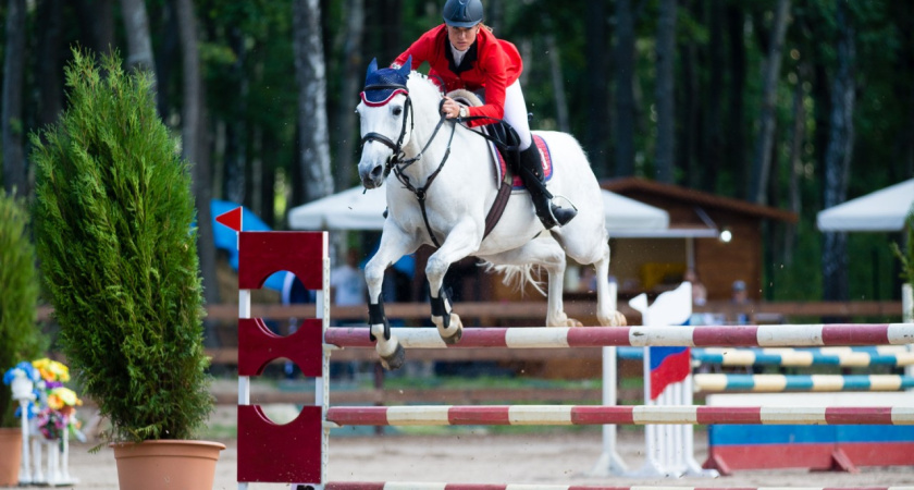 В воронежской «Яменской усадьбе» пройдут соревнования по конкуру