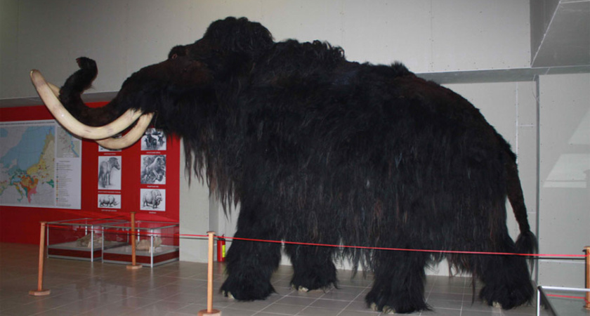 Воронежский суд не вернул Виктору Ковалевскому должность директора «Костенок»