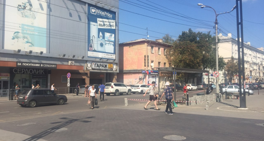 Воронежские общественники и чиновники жарко поспорили о возврате зебры у «Атмосферы»