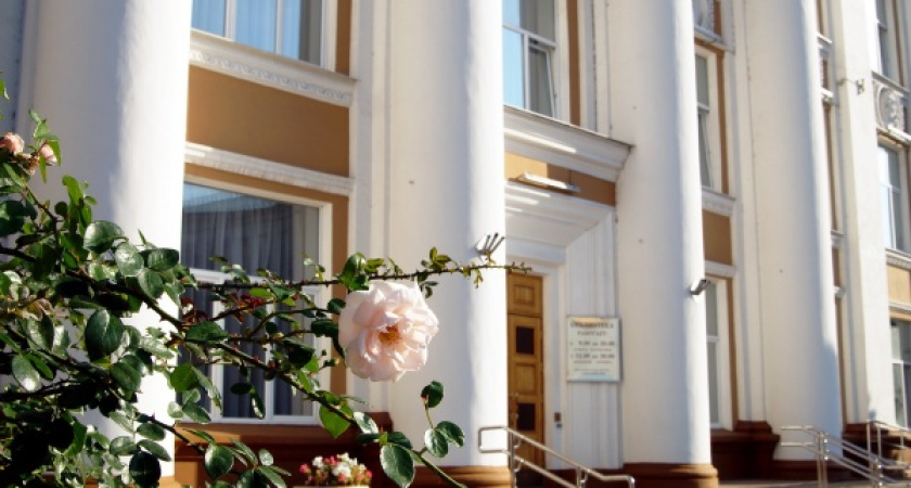 В Воронеже нашли проектировщика для капремонта Никитинской библиотеки