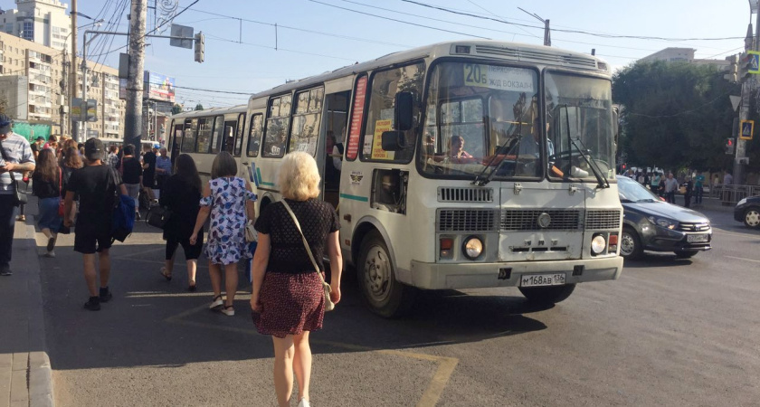 Без каннибализации трафика и потери достоинства. Каким хотят сделать общественный транспорт в Воронеже