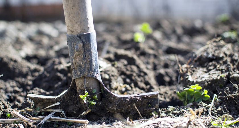 Раскопки на месте строительства школы под Воронежем обойдутся в 13,3 млн рублей