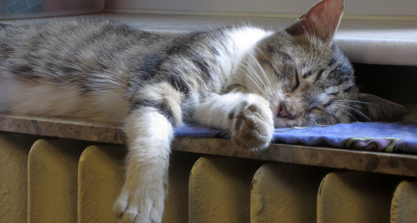 В Воронеже прокуратура нашла нарушения в работе УК при подготовке к отопительному сезону 