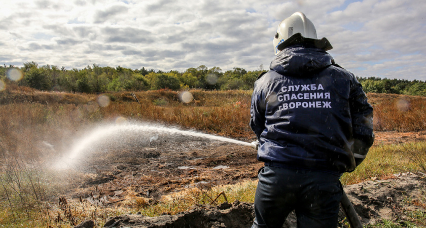 В Воронеже снова горят иловые карты на Антакольского