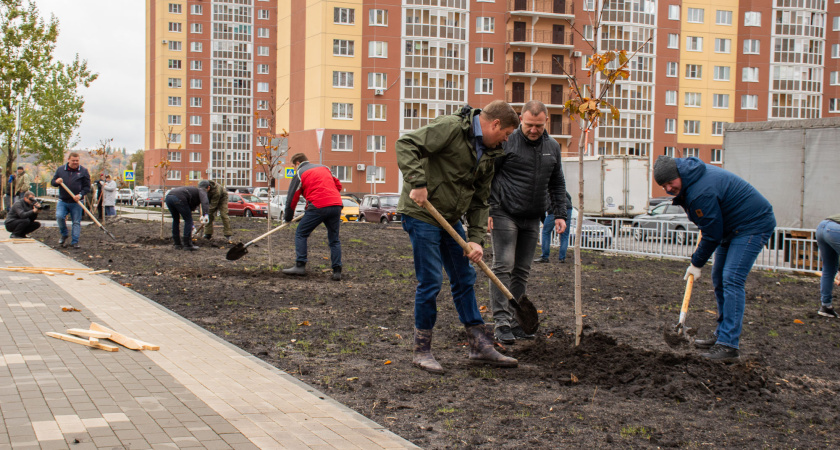 В Воронеже ДСК высадит 300 саженцев 