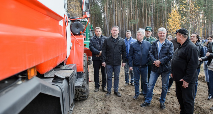 В Воронеже за день восстановили 10 га леса