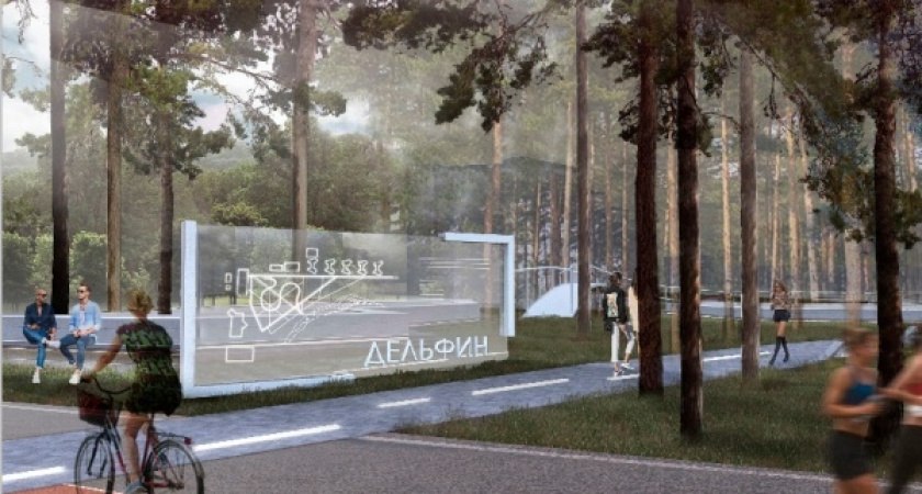 Поиск концессионера для реконструкции воронежского парка «Дельфин» начнут до конца года