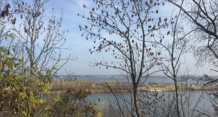 Губернатор поторопил управление лесхоза с оформлением зеленого пояса Воронежа