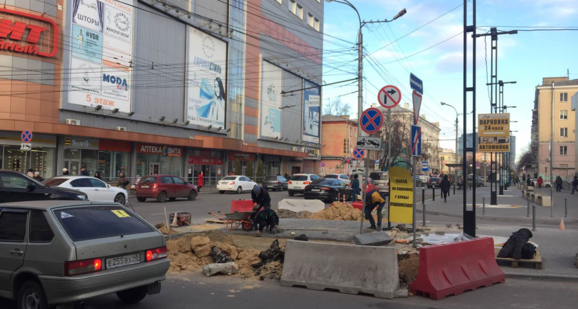 В Воронеже до конца года вернут зебру у «Атмосферы»