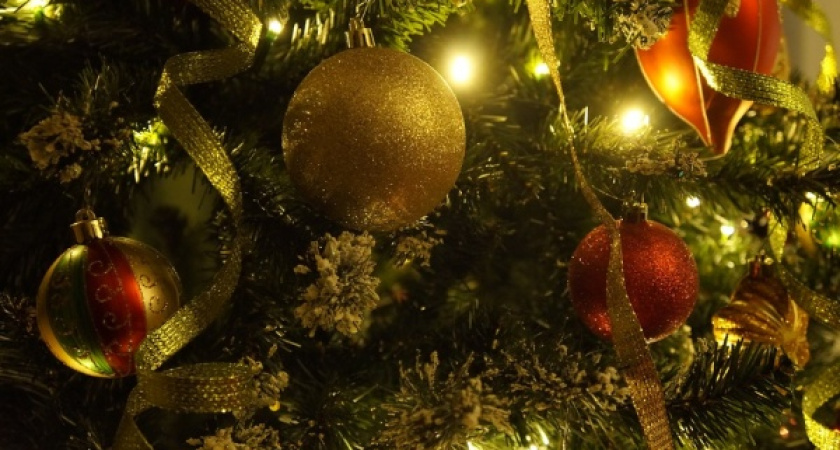 Воронежцы высказались за объявление 31 декабря выходным