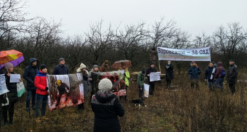 Воронежцы провели митинг за сохранение экосреды яблоневого сада