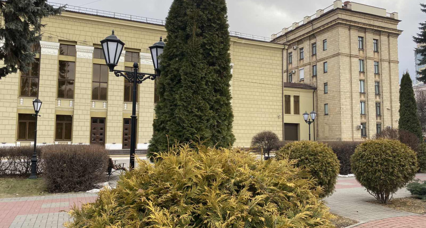 В Воронеже «Нескучный сад» займется озеленением сквера у облправительства