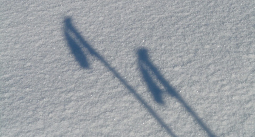 Местная фирма обыграла «короля госзаказа» на торгах под Воронежем